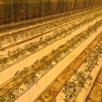 20190112_112306-scaled