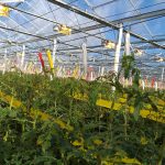 20190211_113250-scaled