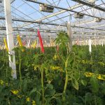 20190218_152426-scaled