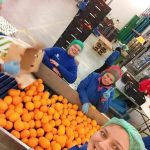 WhatsApp-Image-2021-11-15-at-16.33.54