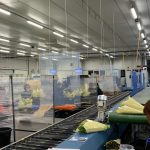 WhatsApp-Image-2021-11-15-at-16.36.10