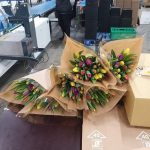 WhatsApp-Image-2021-11-15-at-16.36.11-1