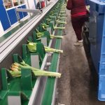 WhatsApp-Image-2021-11-15-at-16.36.12-1