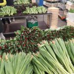 WhatsApp-Image-2021-11-15-at-16.36.12