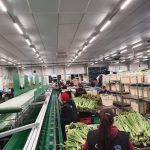 WhatsApp-Image-2021-11-15-at-16.36.13-1