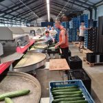 WhatsApp-Image-2021-11-15-at-16.37.48