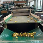 WhatsApp-Image-2021-11-15-at-16.38.46