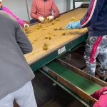 WhatsApp-Image-2021-11-15-at-16.38.47-1