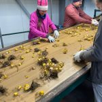 WhatsApp-Image-2021-11-15-at-16.38.47