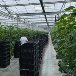 WhatsApp-Image-2021-11-15-at-16.47.14