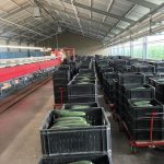 WhatsApp-Image-2021-11-15-at-16.47.15-1