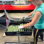 WhatsApp-Image-2021-11-15-at-16.47.16-2