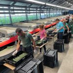 WhatsApp-Image-2021-11-15-at-16.47.17-1